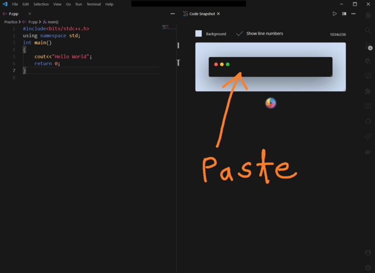 paste کردن کدها در code snapshot